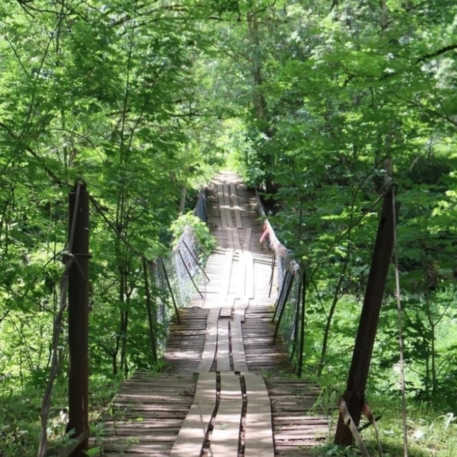 Экскурсия "Сольцы - древний город Новгородской земли" для семьи