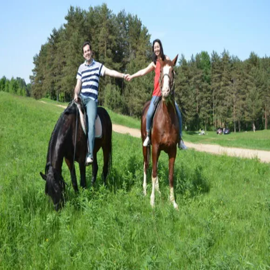 Конная прогулка для двоих (1 час)