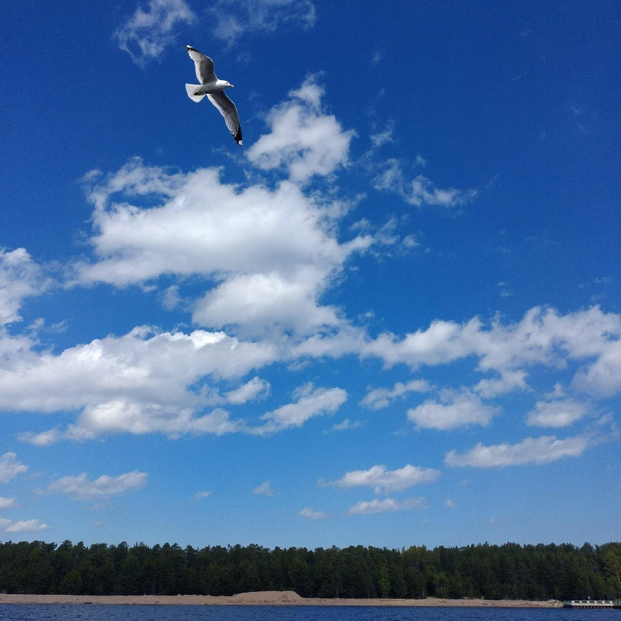 Экскурсия на остров Коневец для семьи