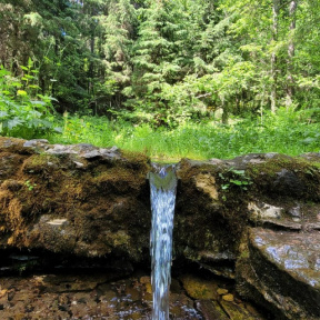 ЭКО-тур на Валдай для семьи