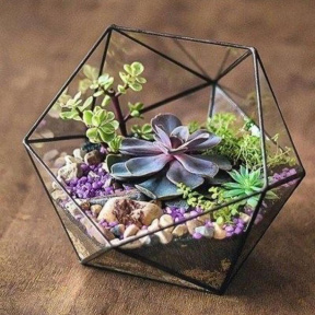 Мастер-класс по созданию флорариума (3 персоны)